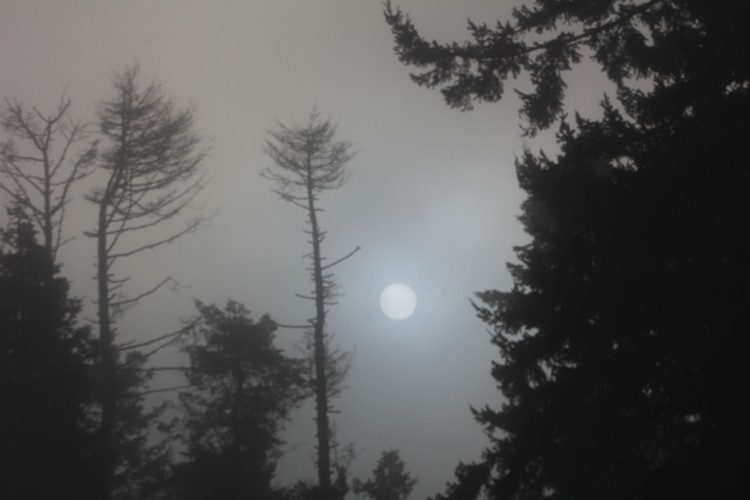 Sun Trying to Emerge